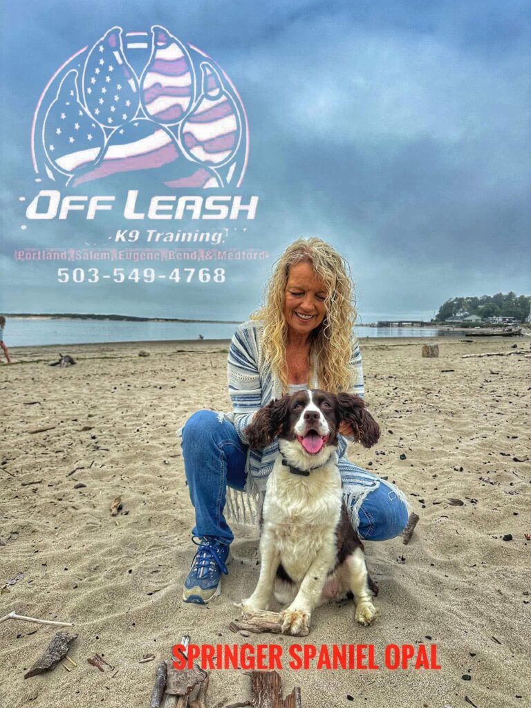 Angie — Off Leash K9 Training of Portland