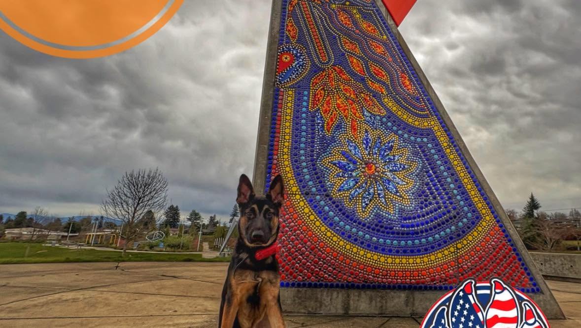 Dog training West Linn OR with shepherd by public art
